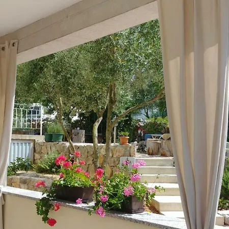 Apartments Olea Pinezici  Exterior photo