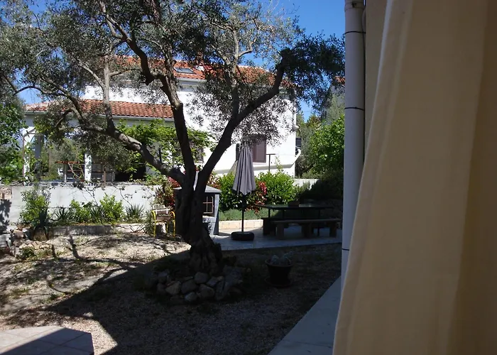 Apartments Olea