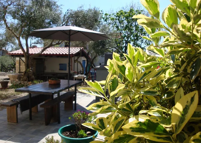 Apartments Olea