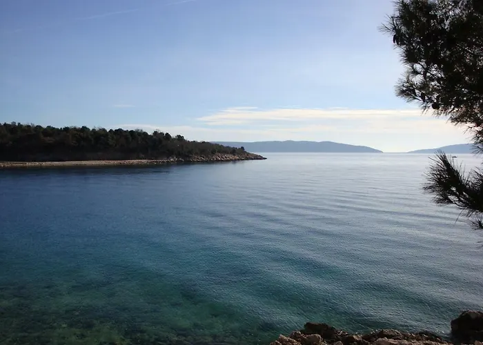 Apartments Olea
