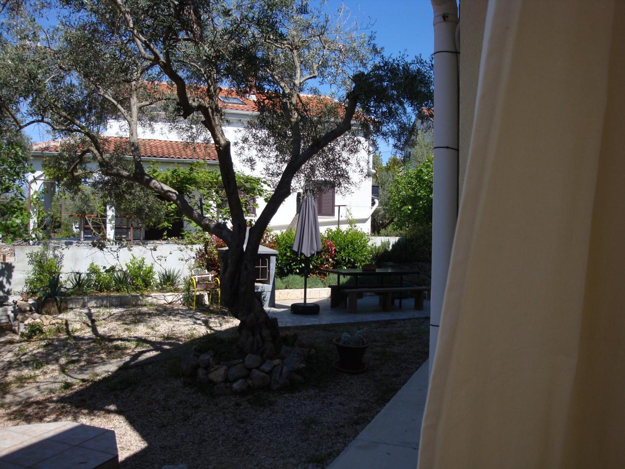 Apartment Olea Pinezici (Krk)