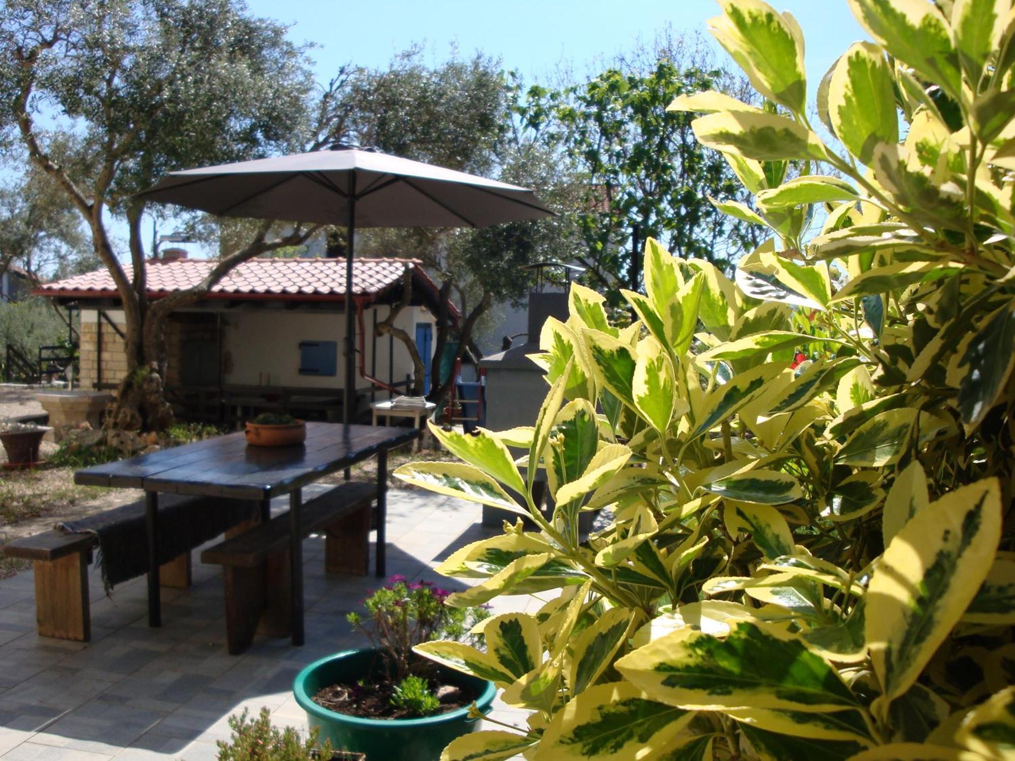 Apartment Olea *