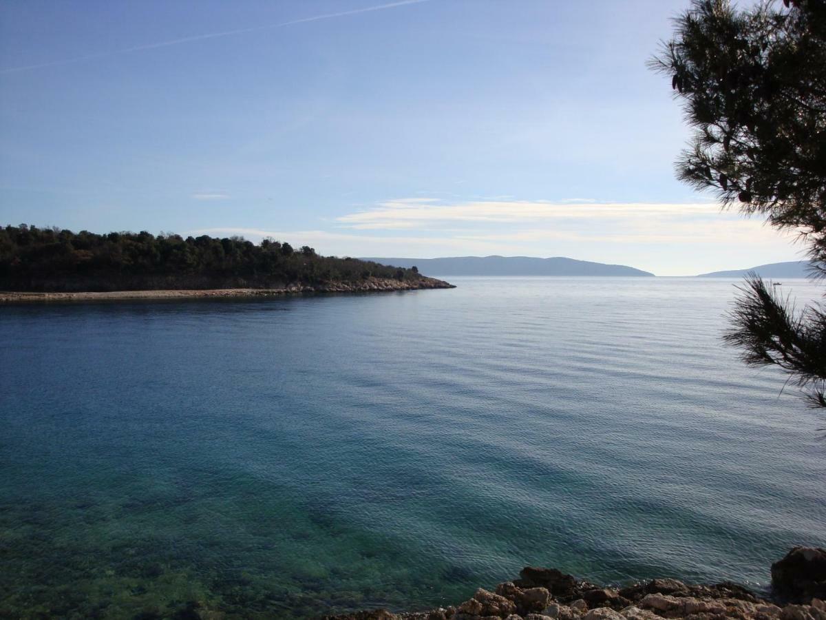 Olea * Pinezici (Krk)