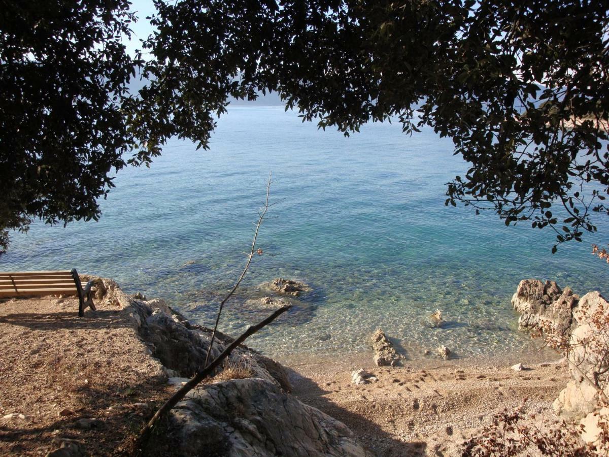 Olea Pinezici (Krk)
