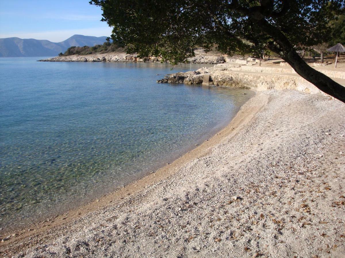 Olea * Pinezici (Krk)