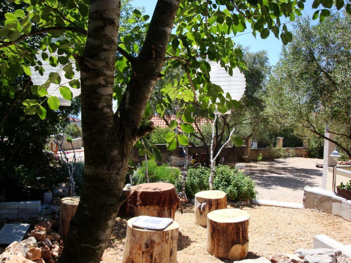 Olea *